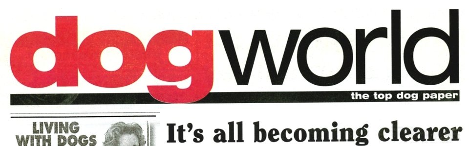 Dog World: It's all becoming clearer, Ethos Bright Eyes